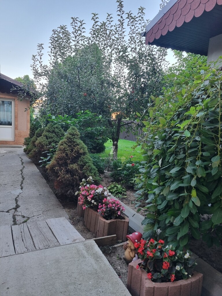 Pensiunea Vis