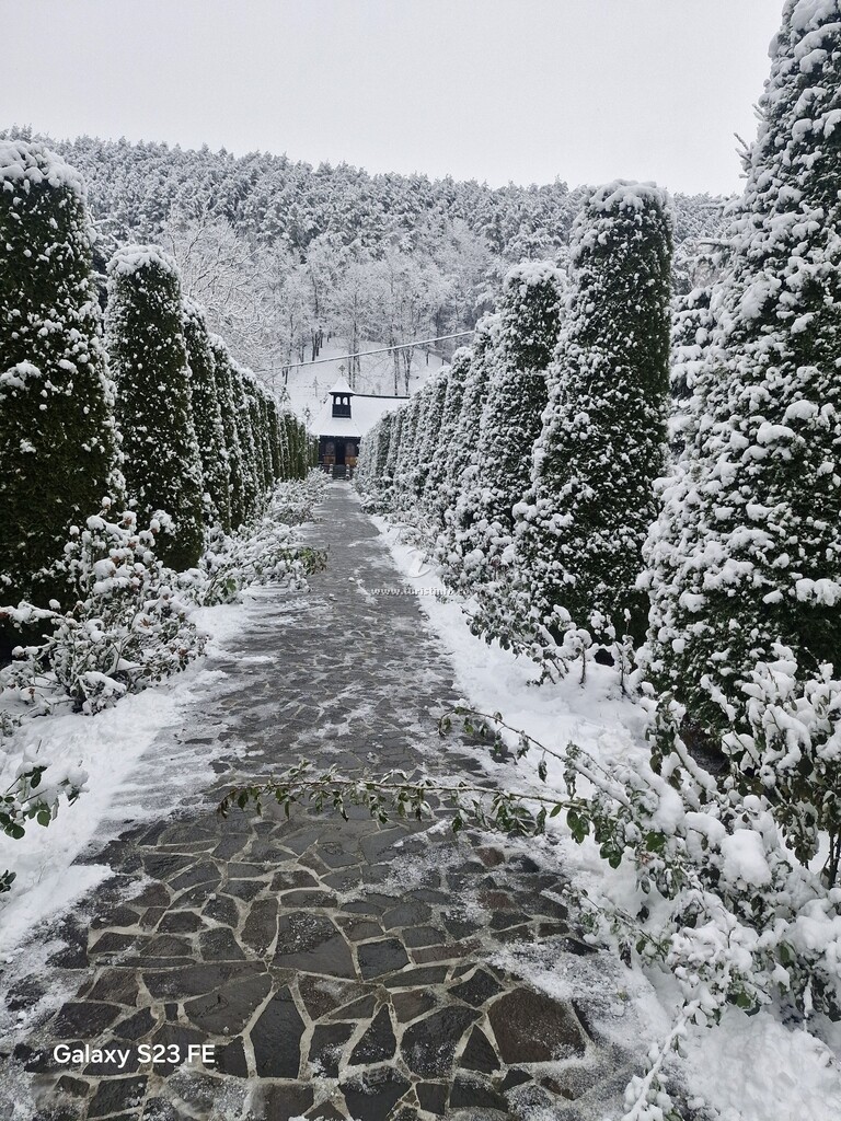 Casa Cristina