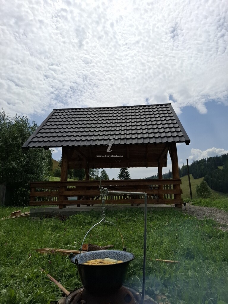 Cabana Ali House