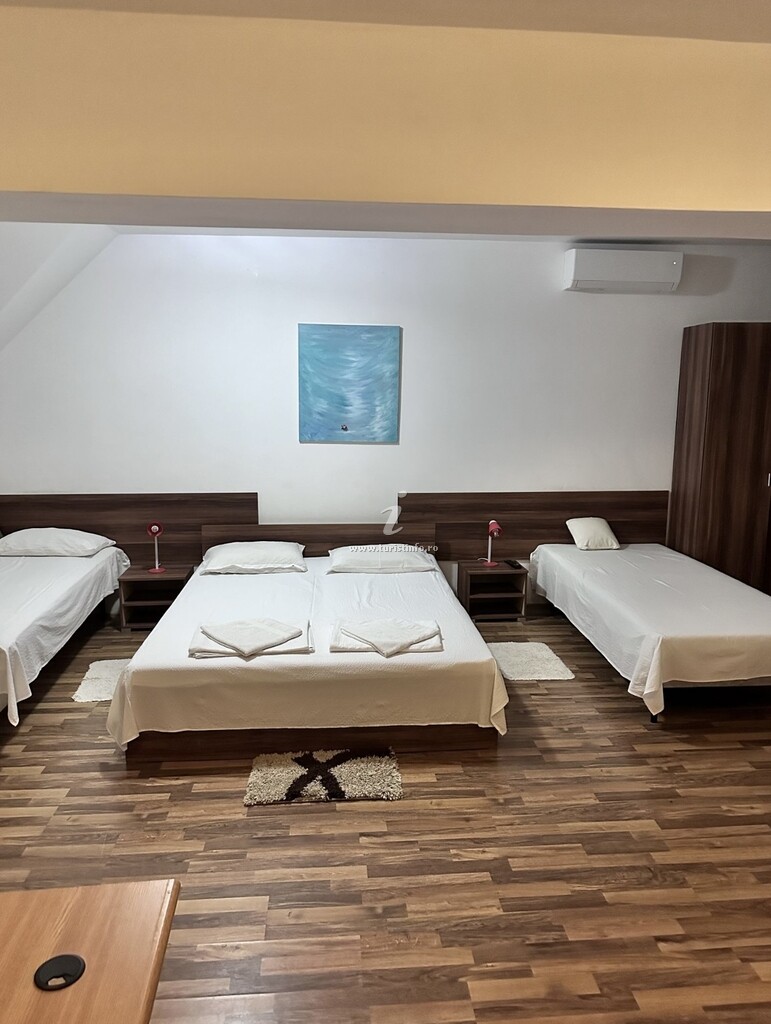 Camere de închiriat la Danezu