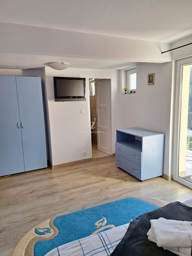 Casa de vacanță Colina cu Brazi
