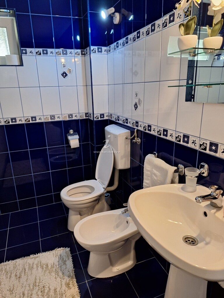 Casa de vacanță Colina cu Brazi