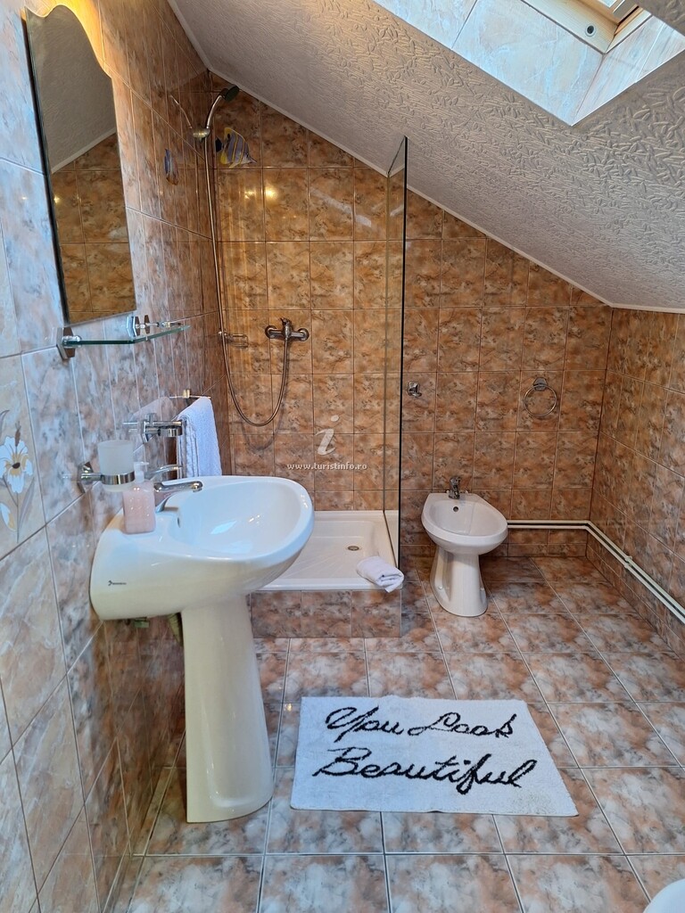 Casa de vacanță Colina cu Brazi