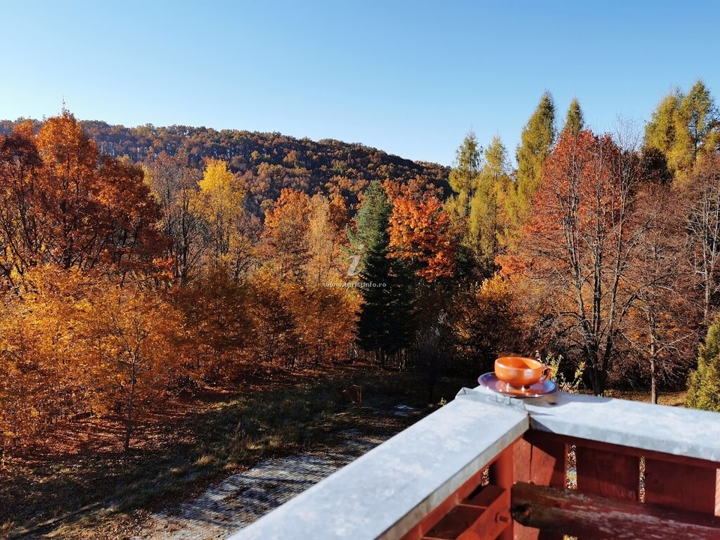 Cabana Bodvaj