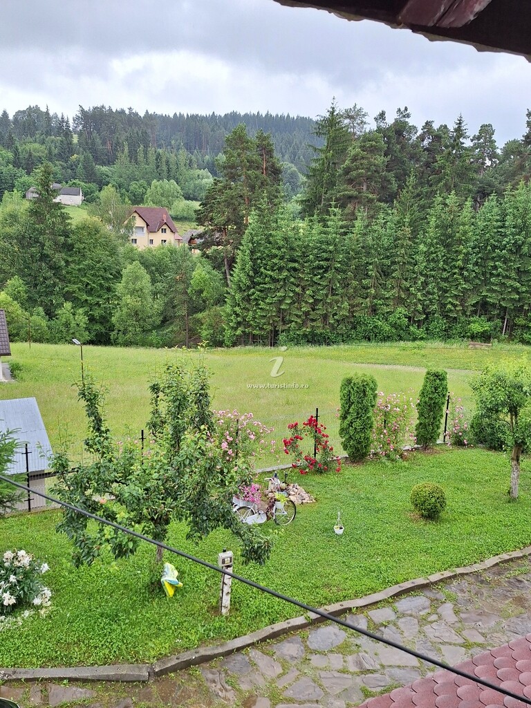 Casa de vacanță Colina cu Brazi