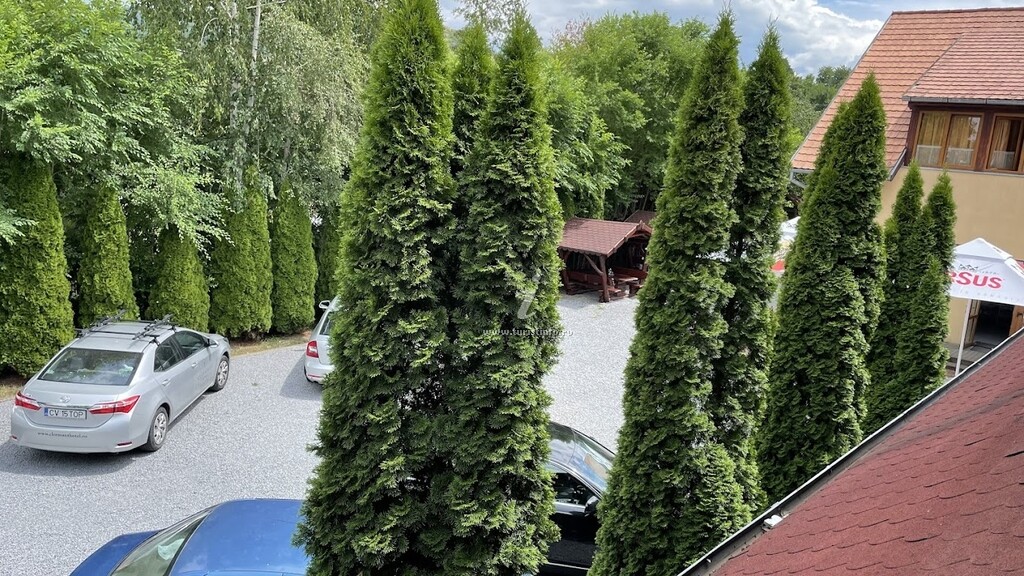 Pensiunea Bella
