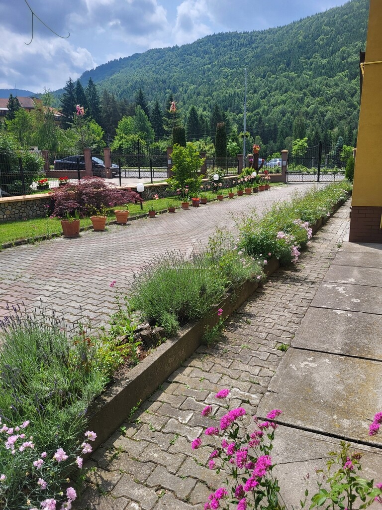 Camere de închiriat Casa Enea