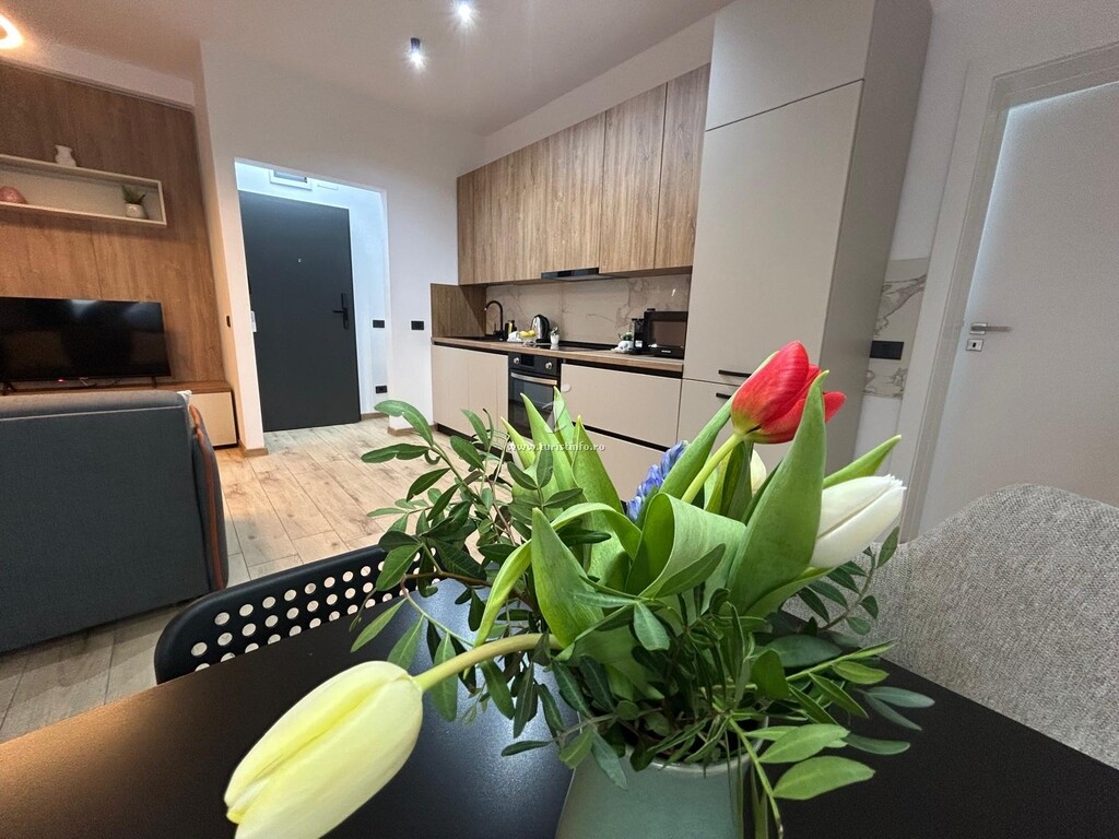 Apartamente City South