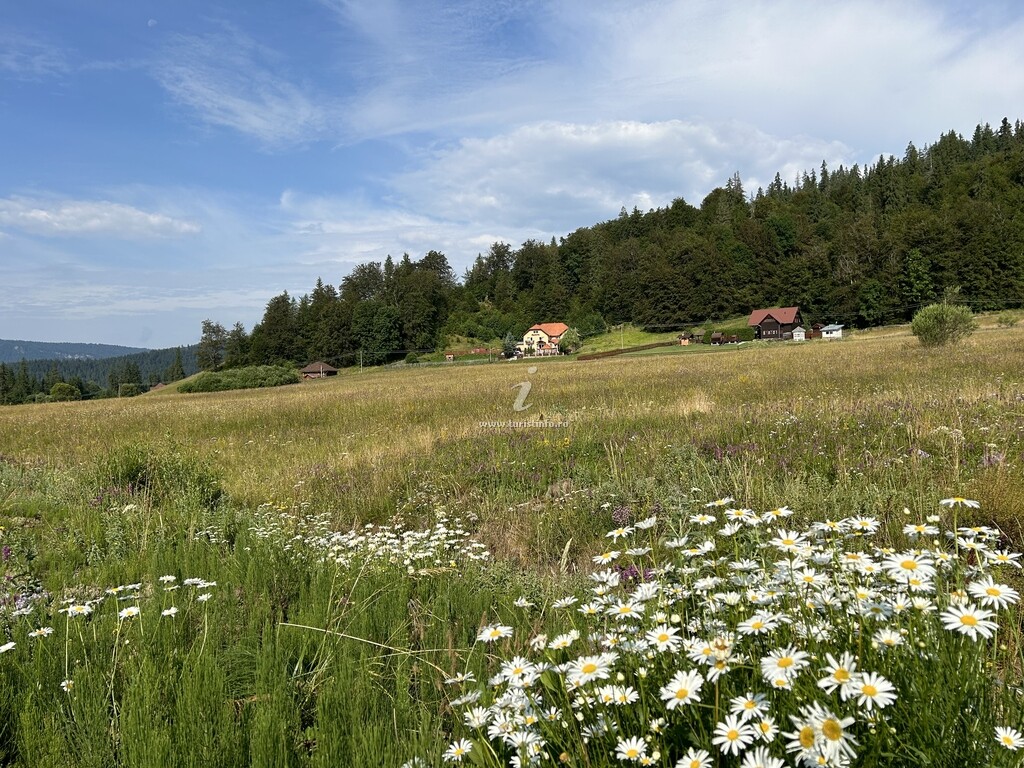 Vila Panova