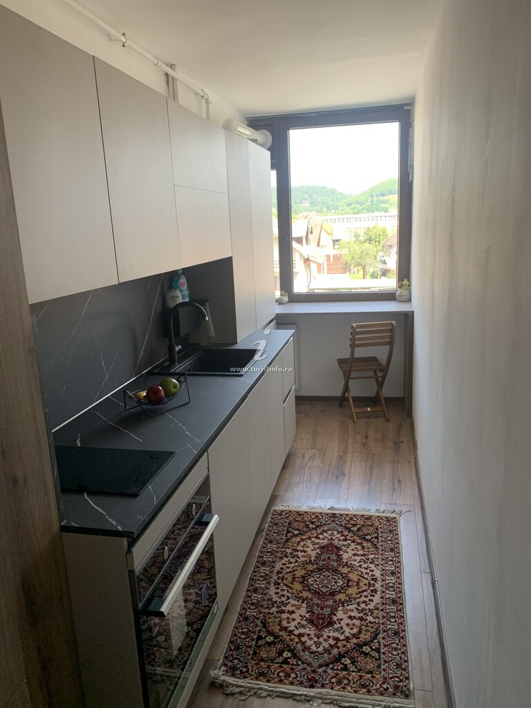 Apartament Vlaste la Munte