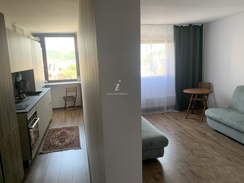 Apartament Vlaste la Munte
