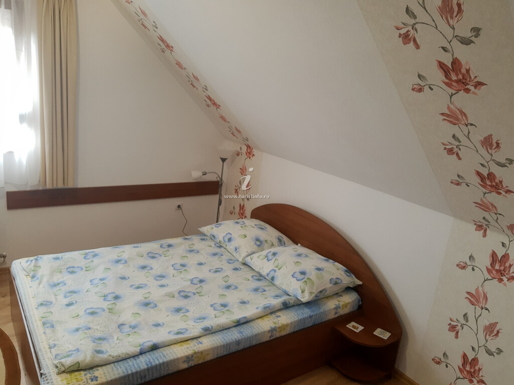 Casa de vacanță Doi Brazi