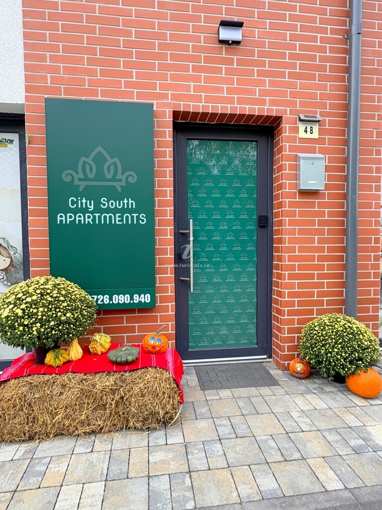 Apartamente City South