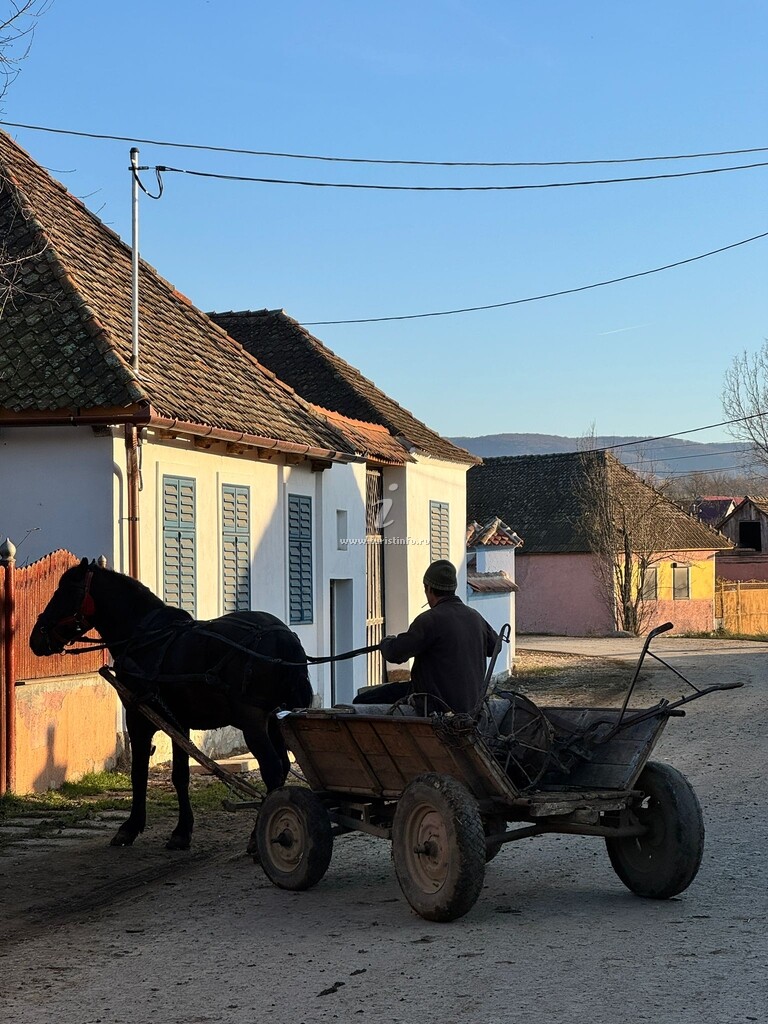 Vila Gabri Guesthouse Transylvania