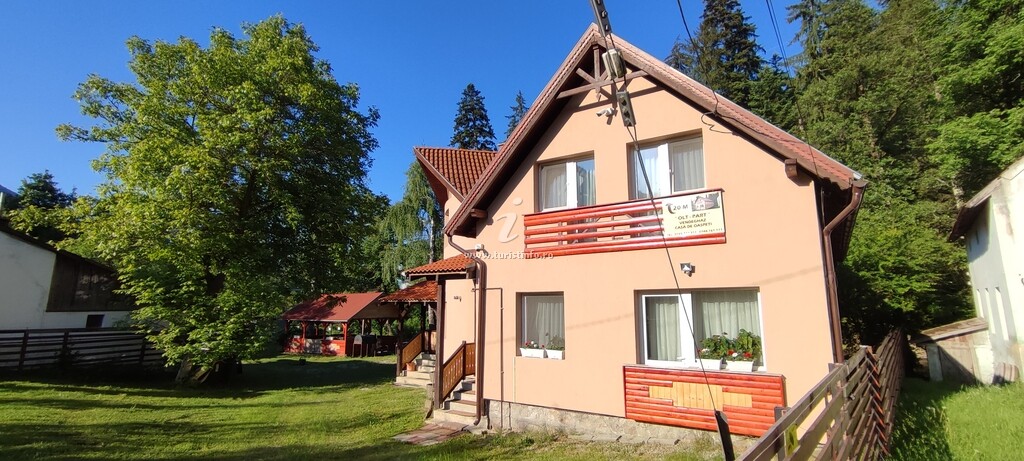 Casa de vacanță Casa de Oaspeți Olt - Part Vendeghaz