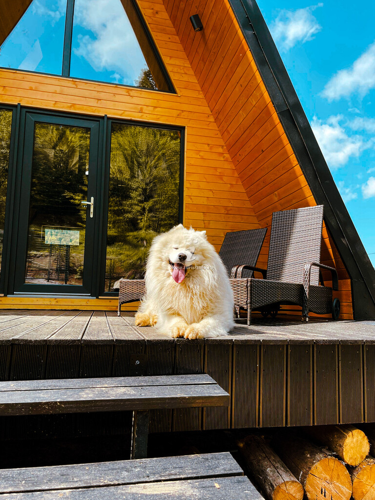 A-frame Macko's Cabin