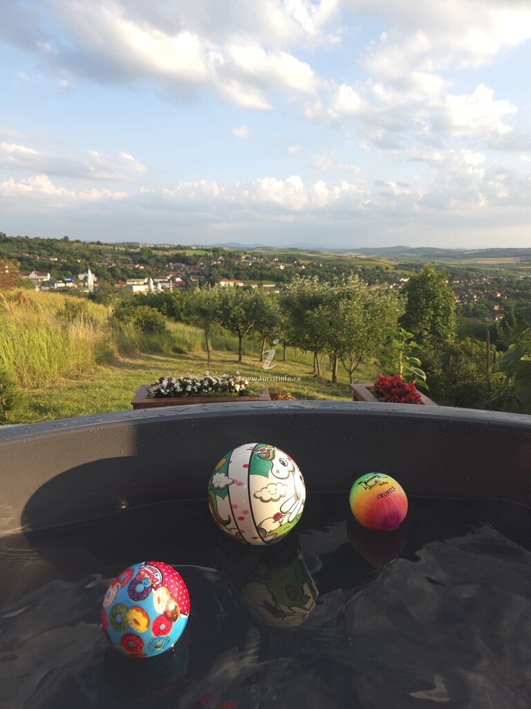 Pensiunea Panorama