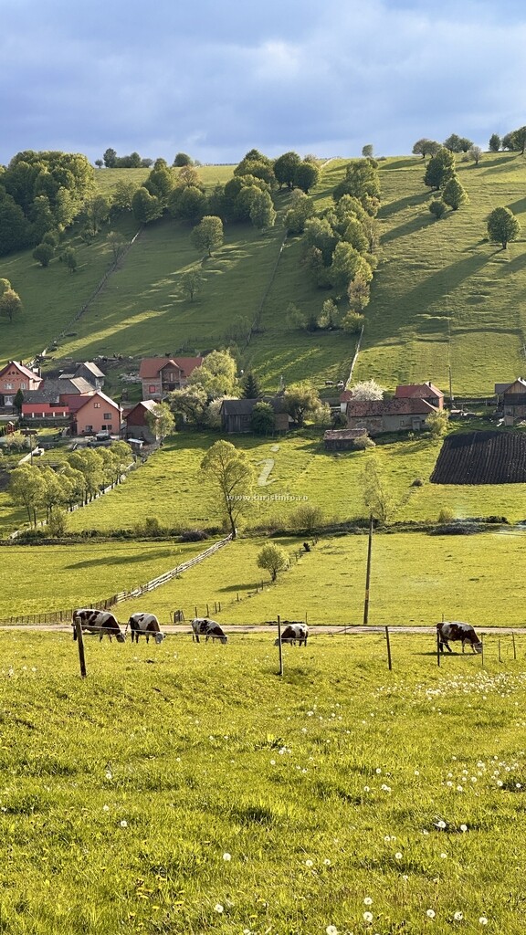 Pensiunea Agroturistică Suciu