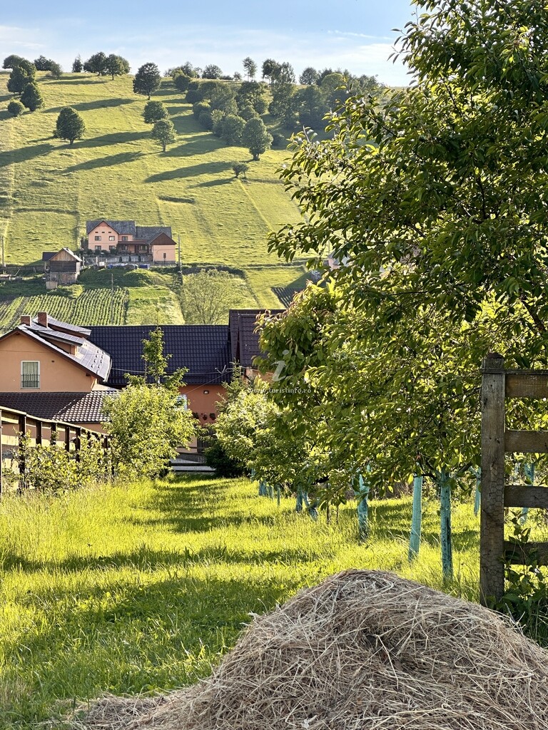 Pensiunea Agroturistică Suciu