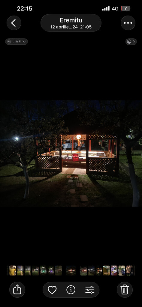 Cabana Sofalvi