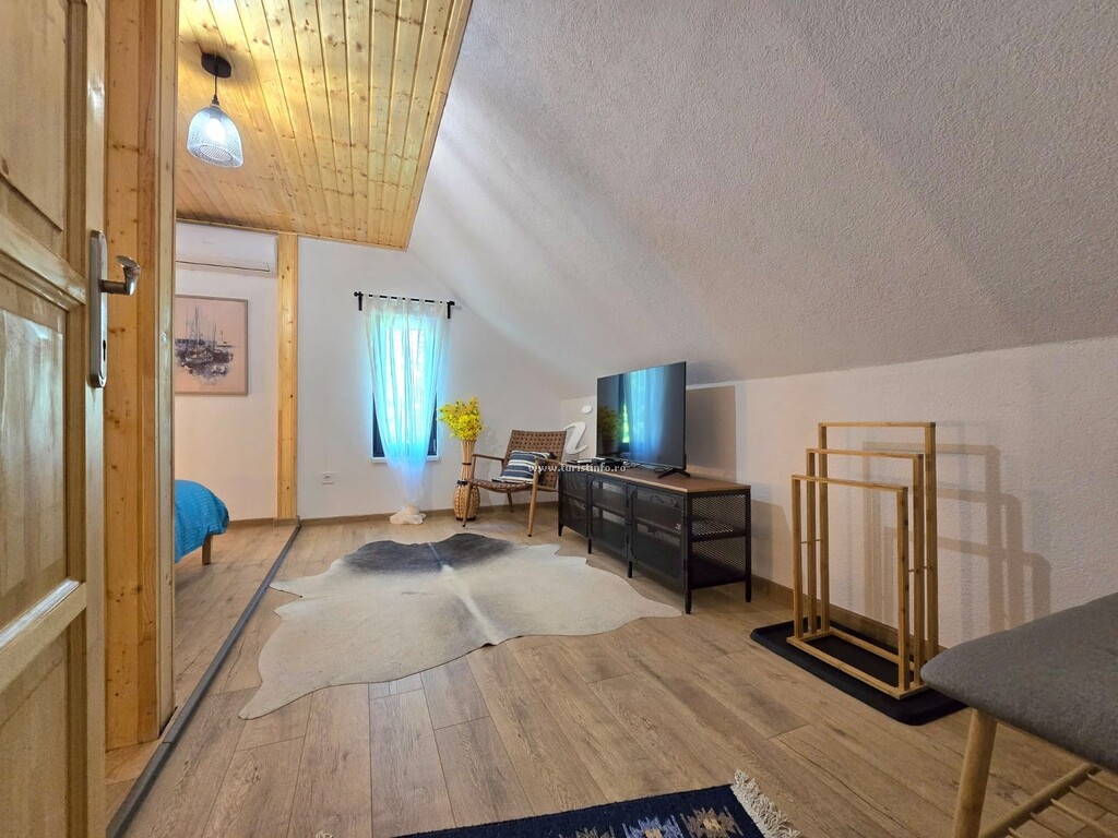 Casa de vacanță la Partizani