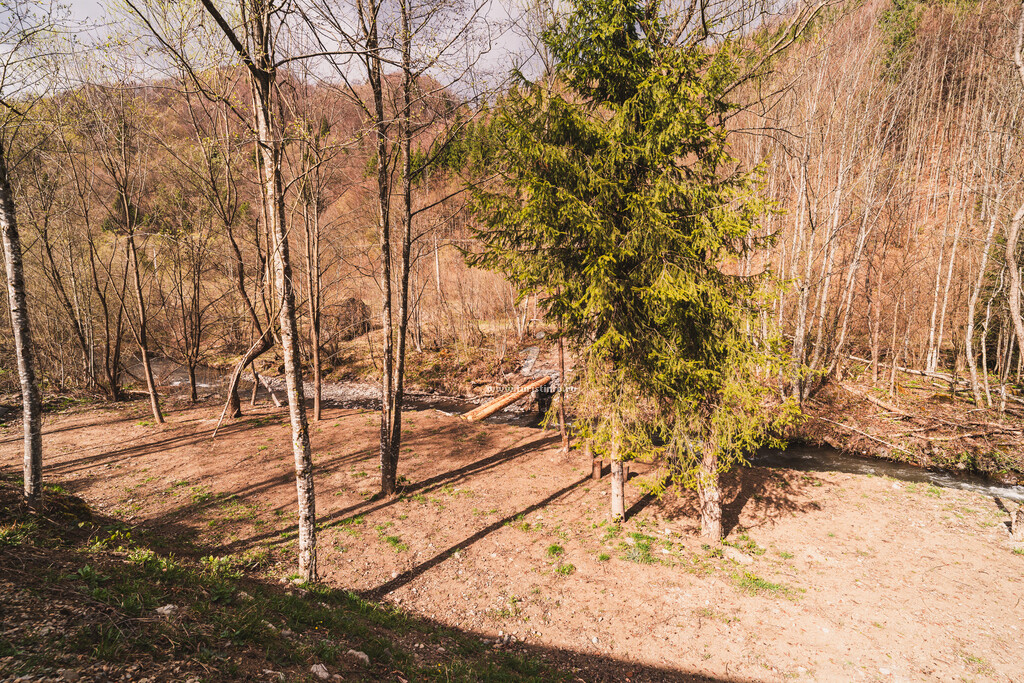 Complex Turistic Whiteberg Haus