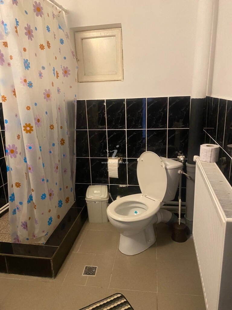 Vila Nr. 4 Căprioara