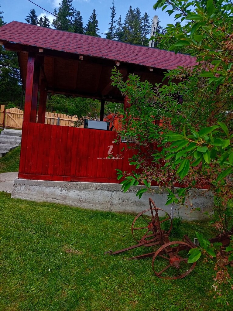Casa Poienița