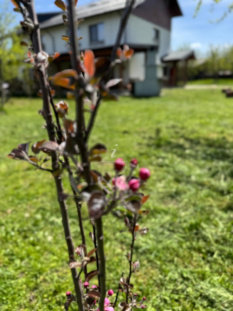 Pensiunea Agroturistică Conacul Doamnei