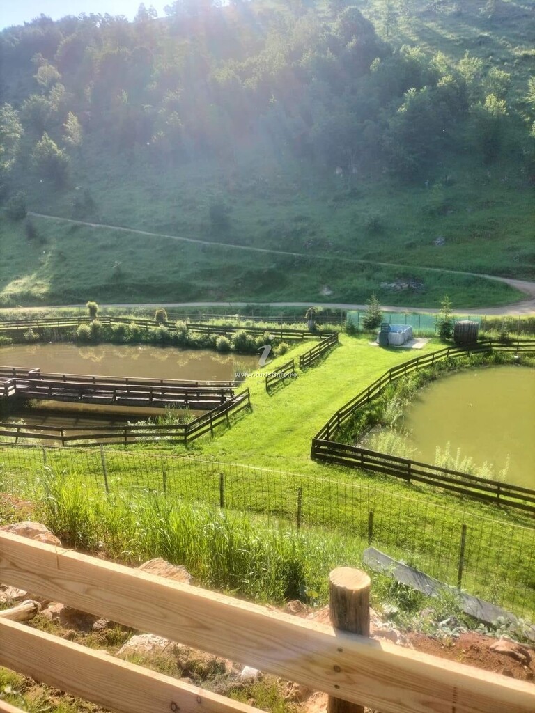 Căsuțe tip camping Balta Lu' Fanea