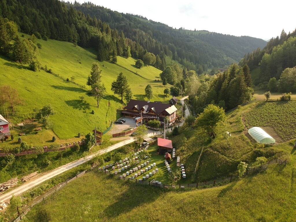 Pensiunea Vânatorul