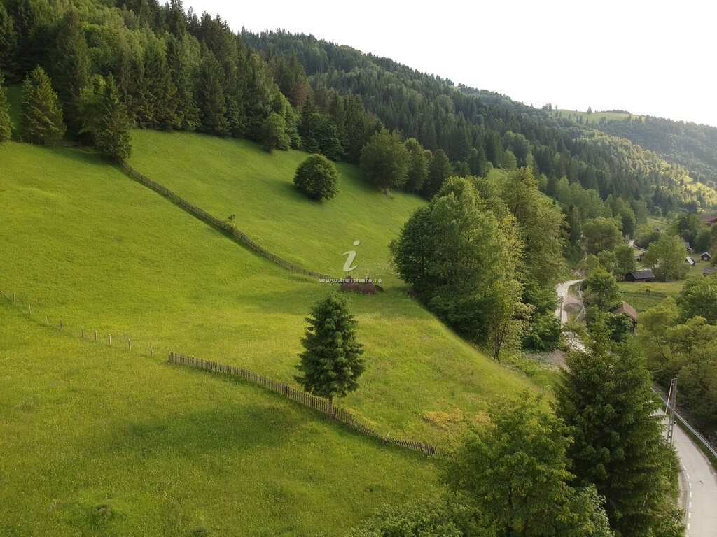 Pensiunea Vânatorul