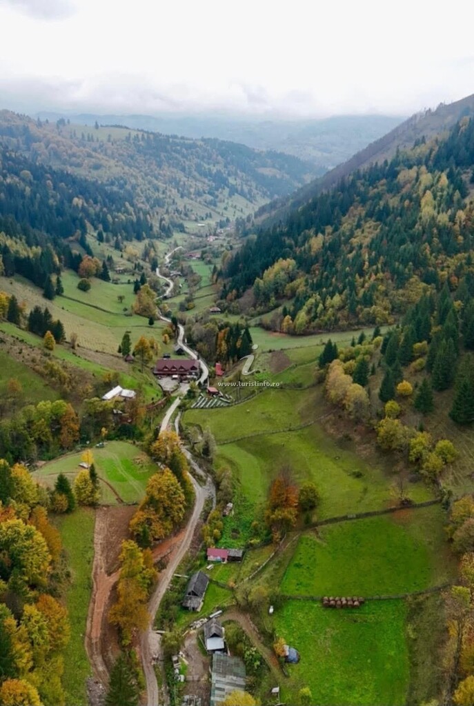 Pensiunea Vânatorul