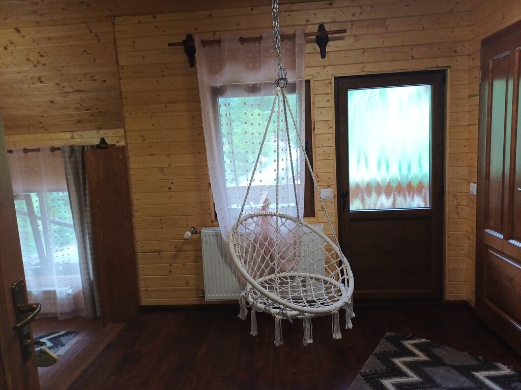Pensiunea Vânatorul