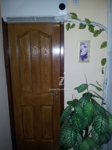 Hostel Senator