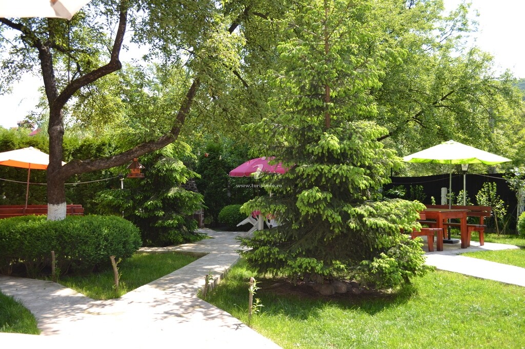 Casa Camelia