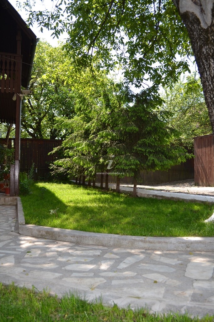 Casa Camelia