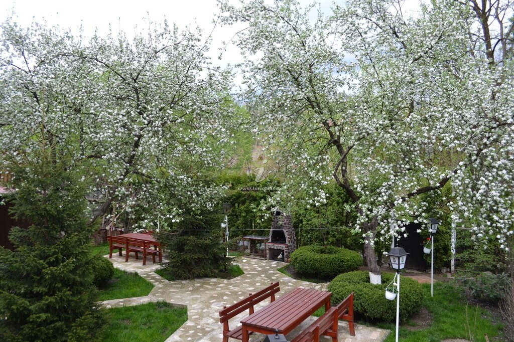 Casa Camelia