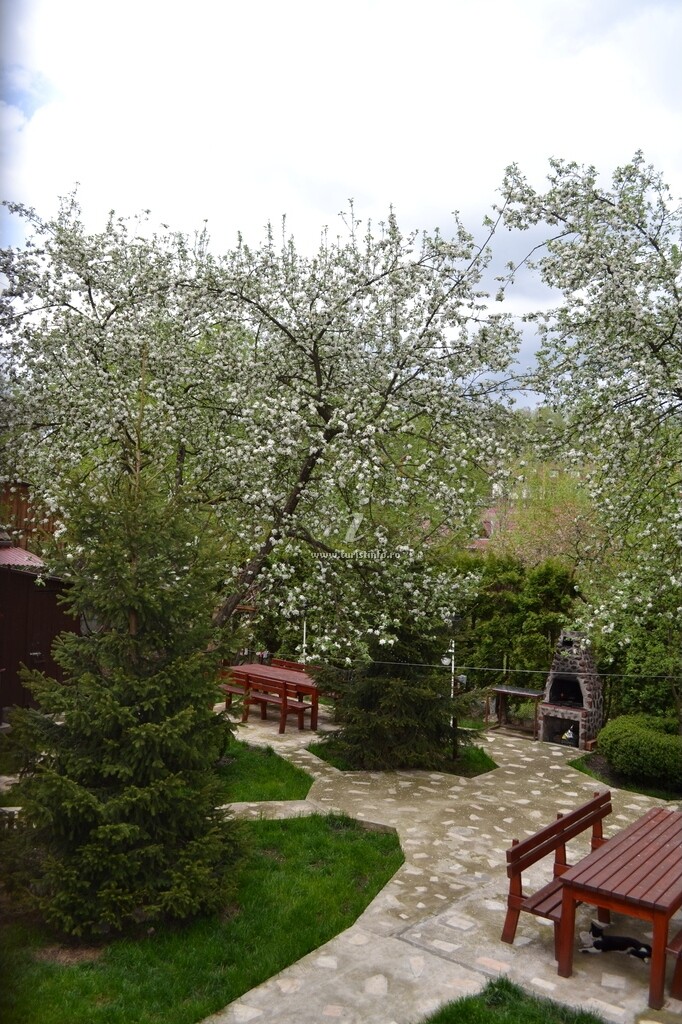Casa Camelia