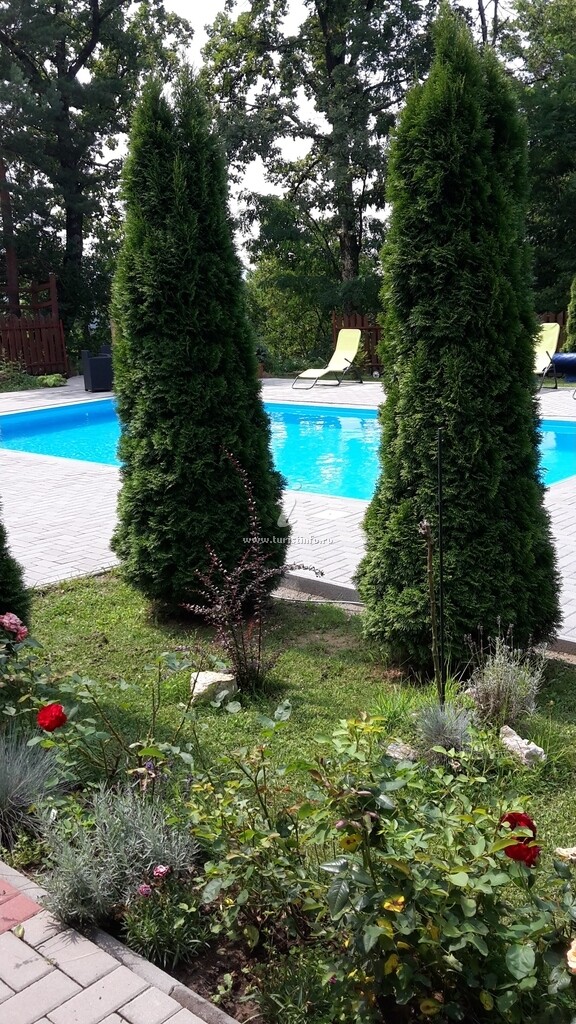 Camere de închiriat Casa Happy