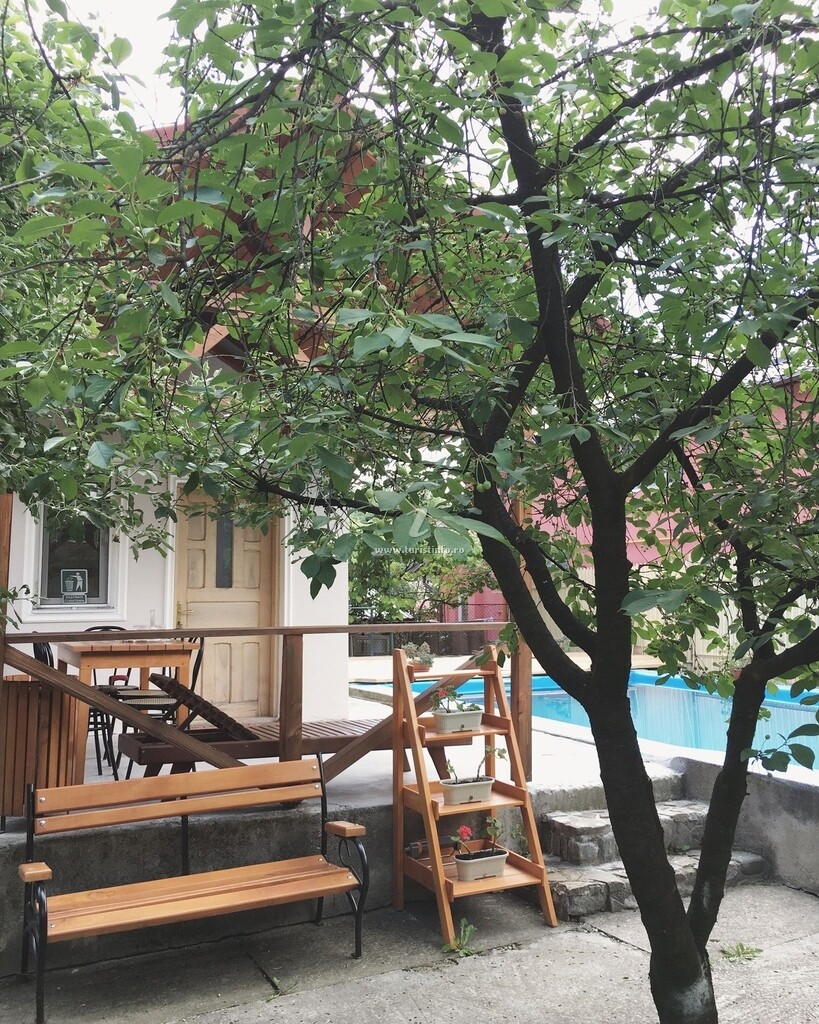 Casa cu Vișini
