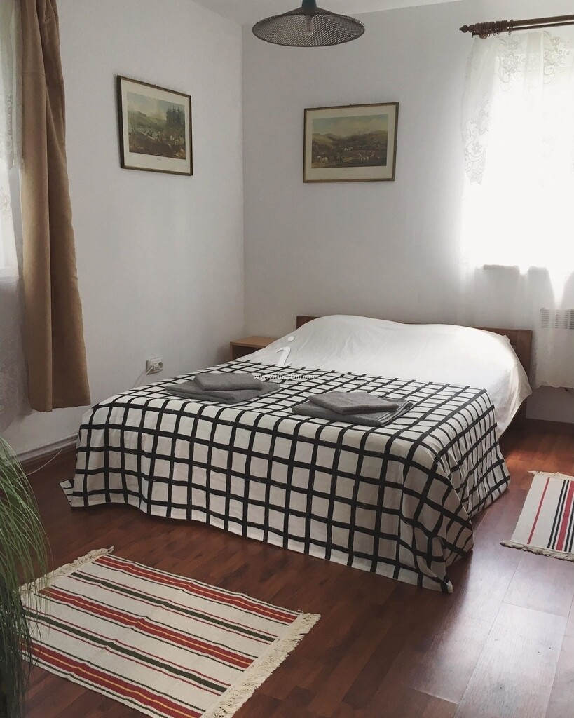 Casa cu Vișini