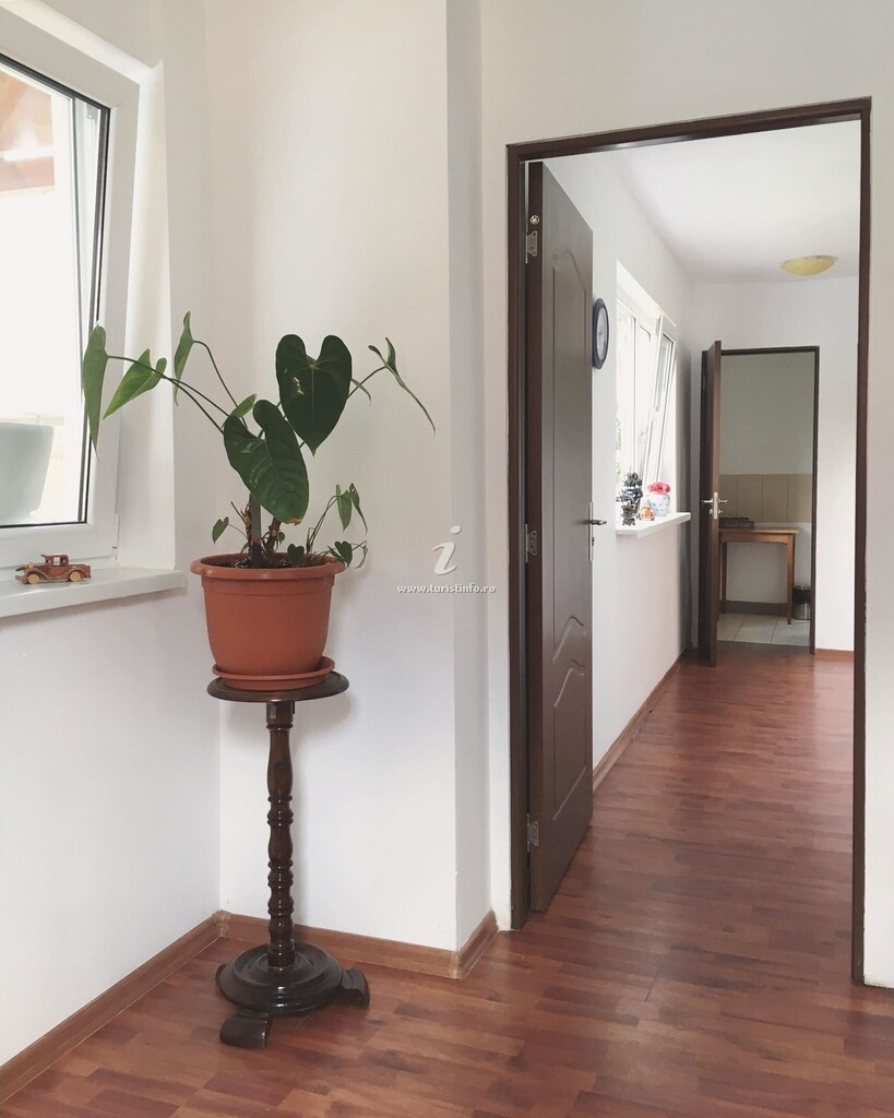 Casa cu Vișini