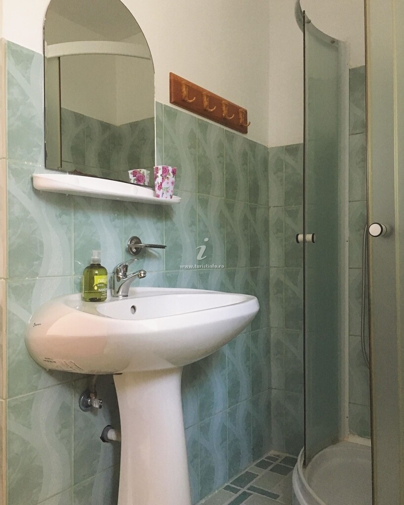 Casa cu Vișini