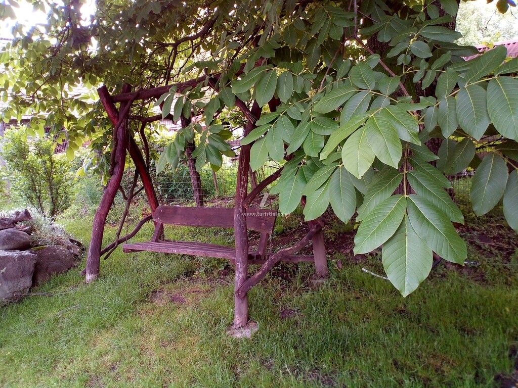 Casa Hajdu