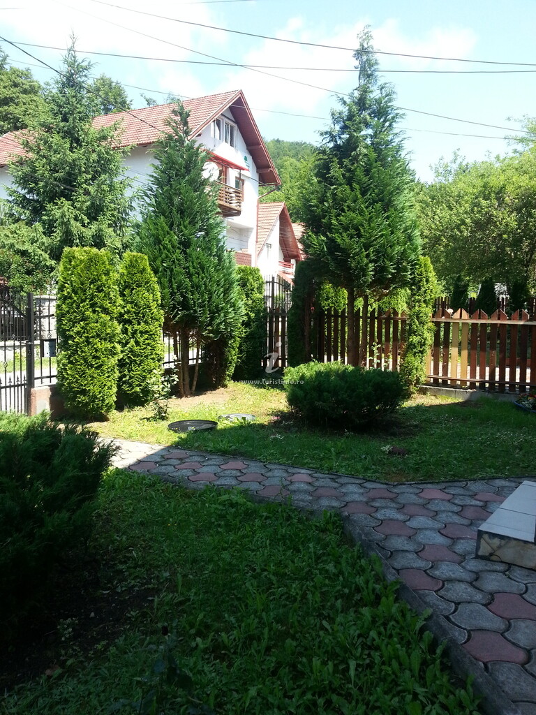 Casa Brad