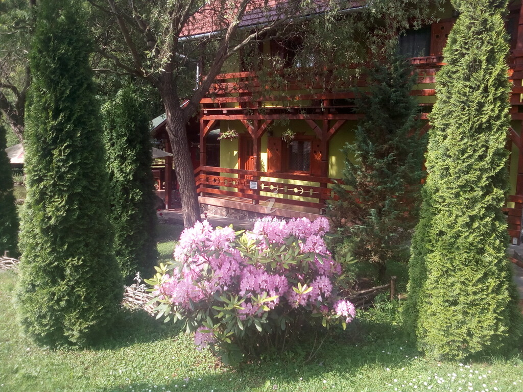 Casa de vacanță Trei Zâne