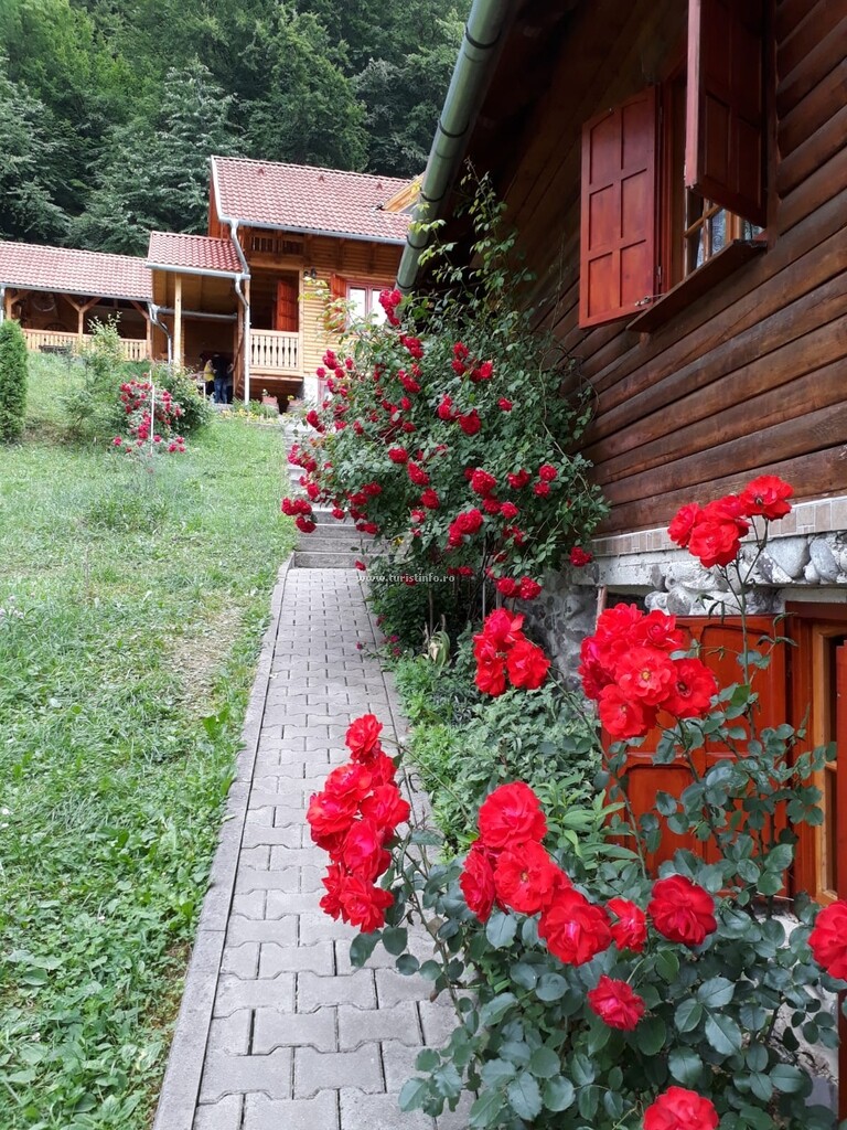 Vila Casa Teodora