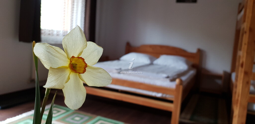 Casa de vacanță Trei Zâne