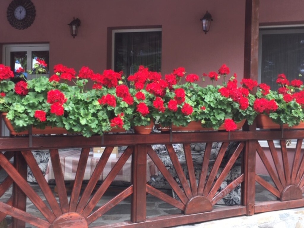 Pensiunea Contesa